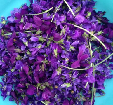 violette