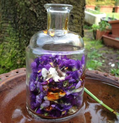 sciroppo di violette